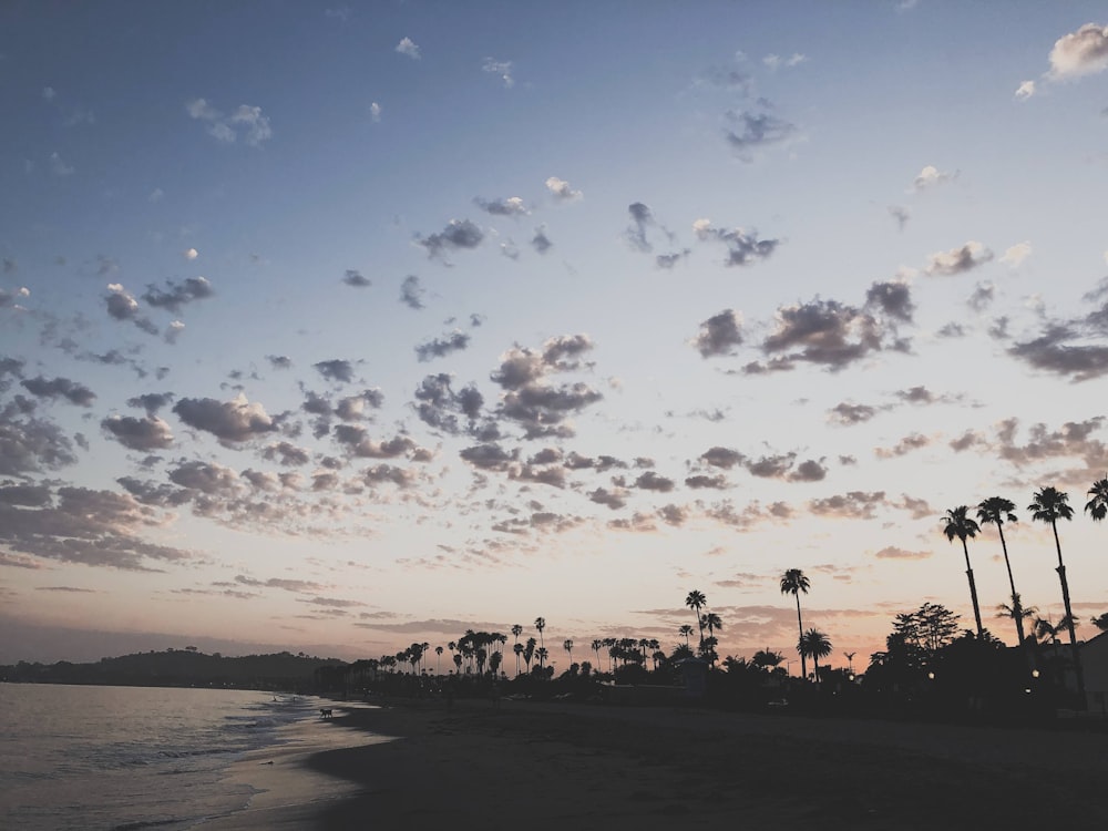 silhouette of people on beach during sunset