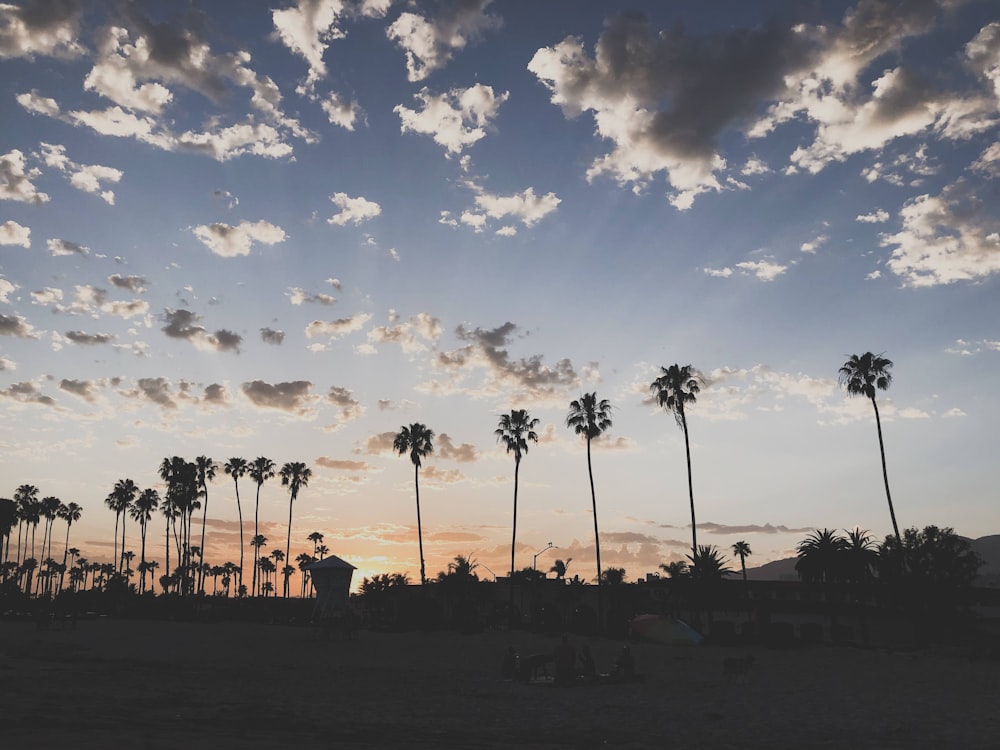 silhouette of people on beach during sunset