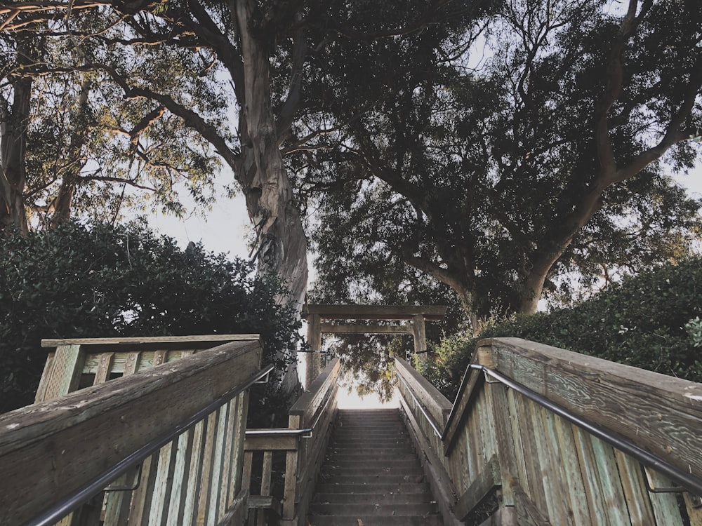 brown wooden bridge near green trees during daytime