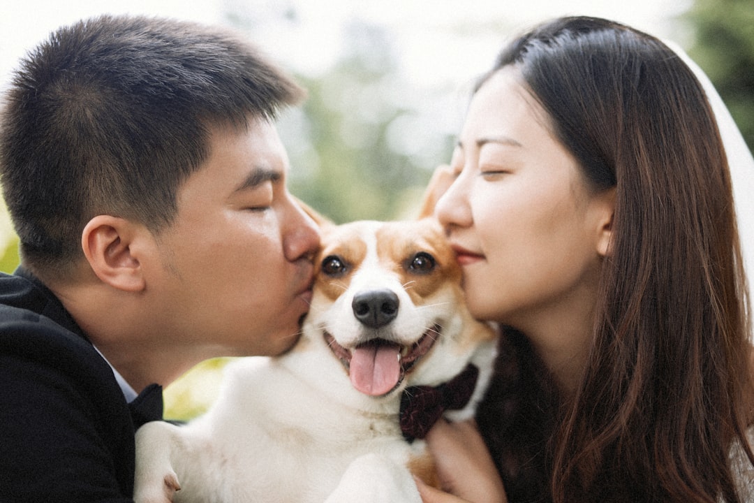 woman in black shirt holding white and brown short coated dog