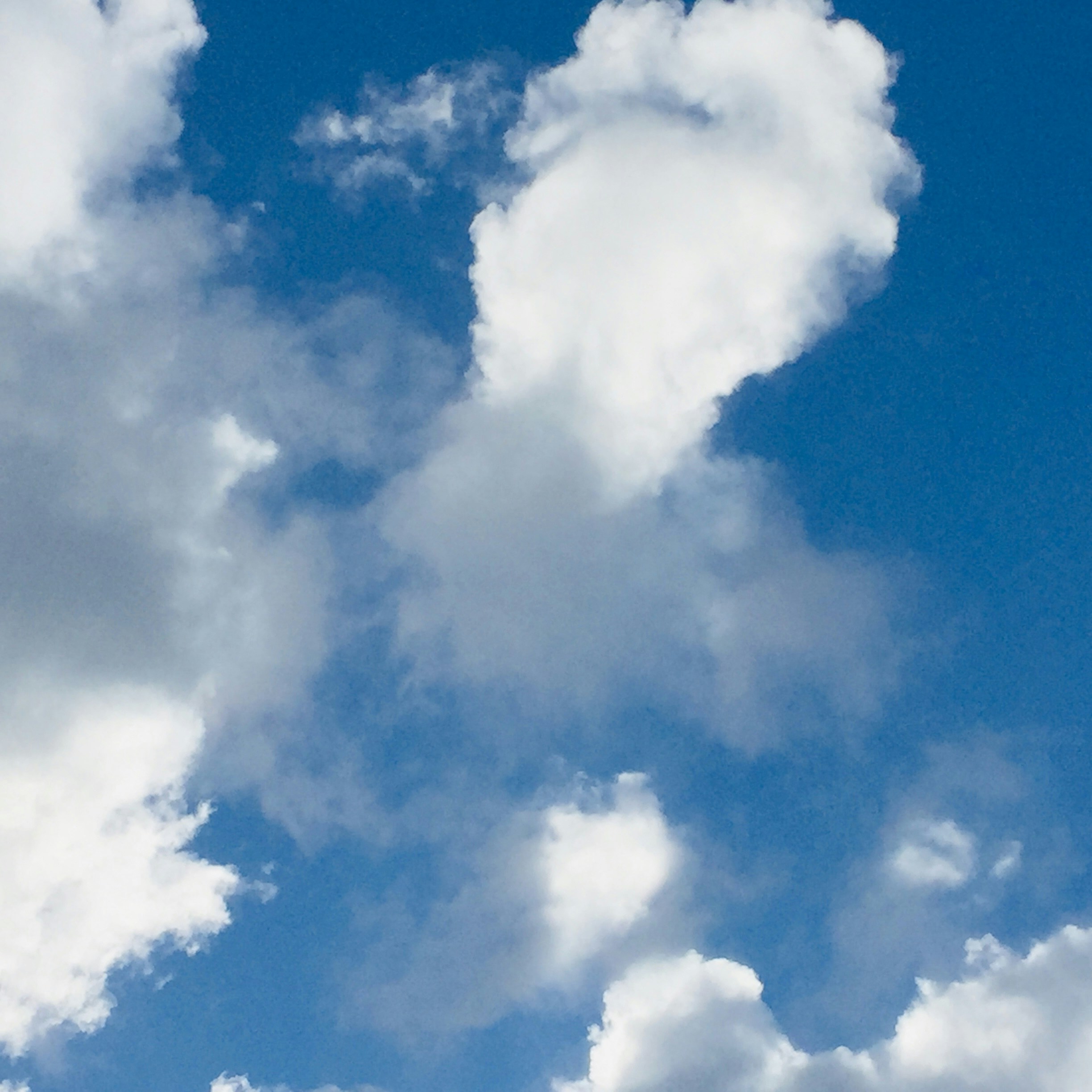 Photo by fathima_rizwana_06