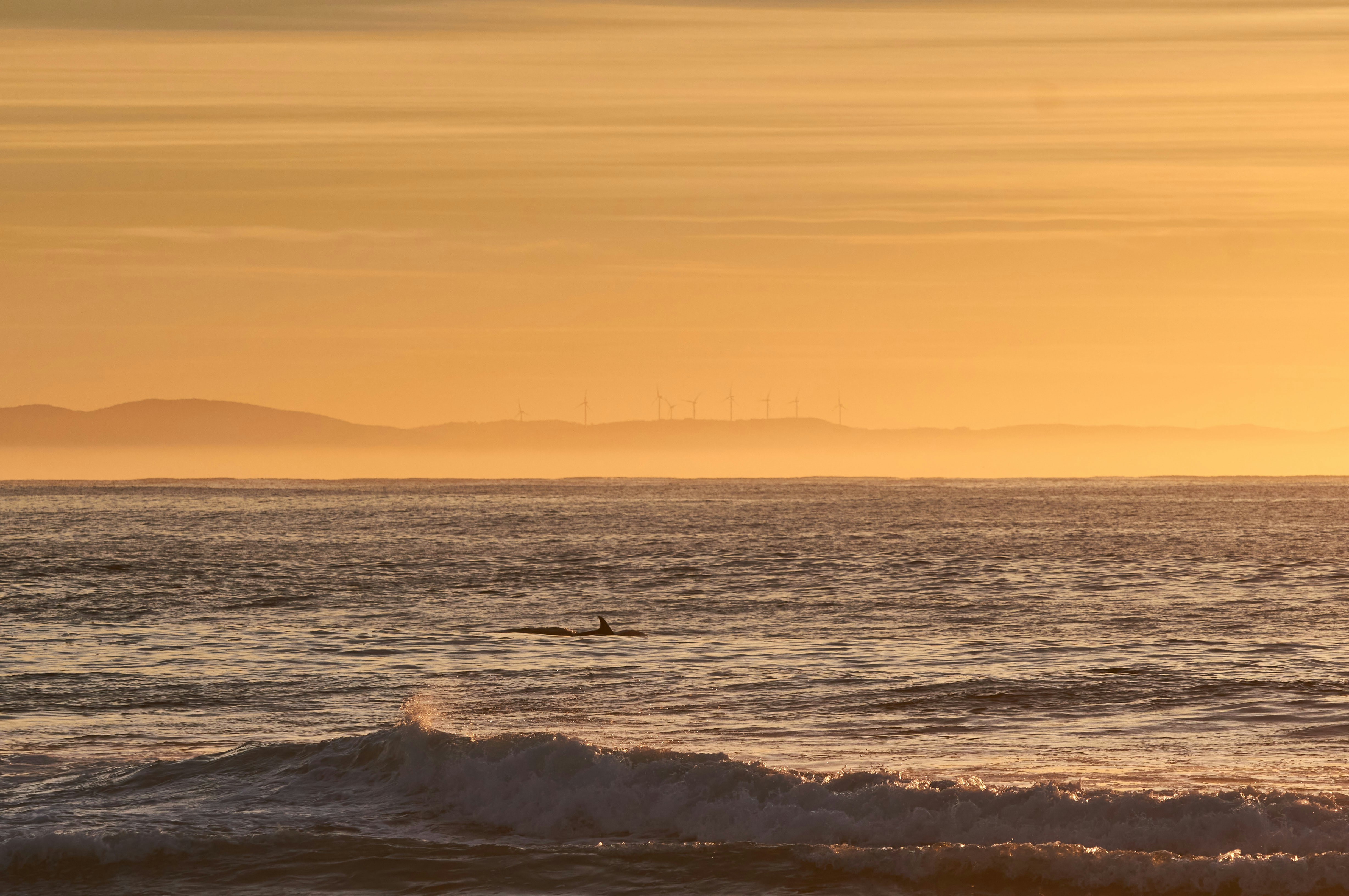 Photo by wolfgang_hasselmann