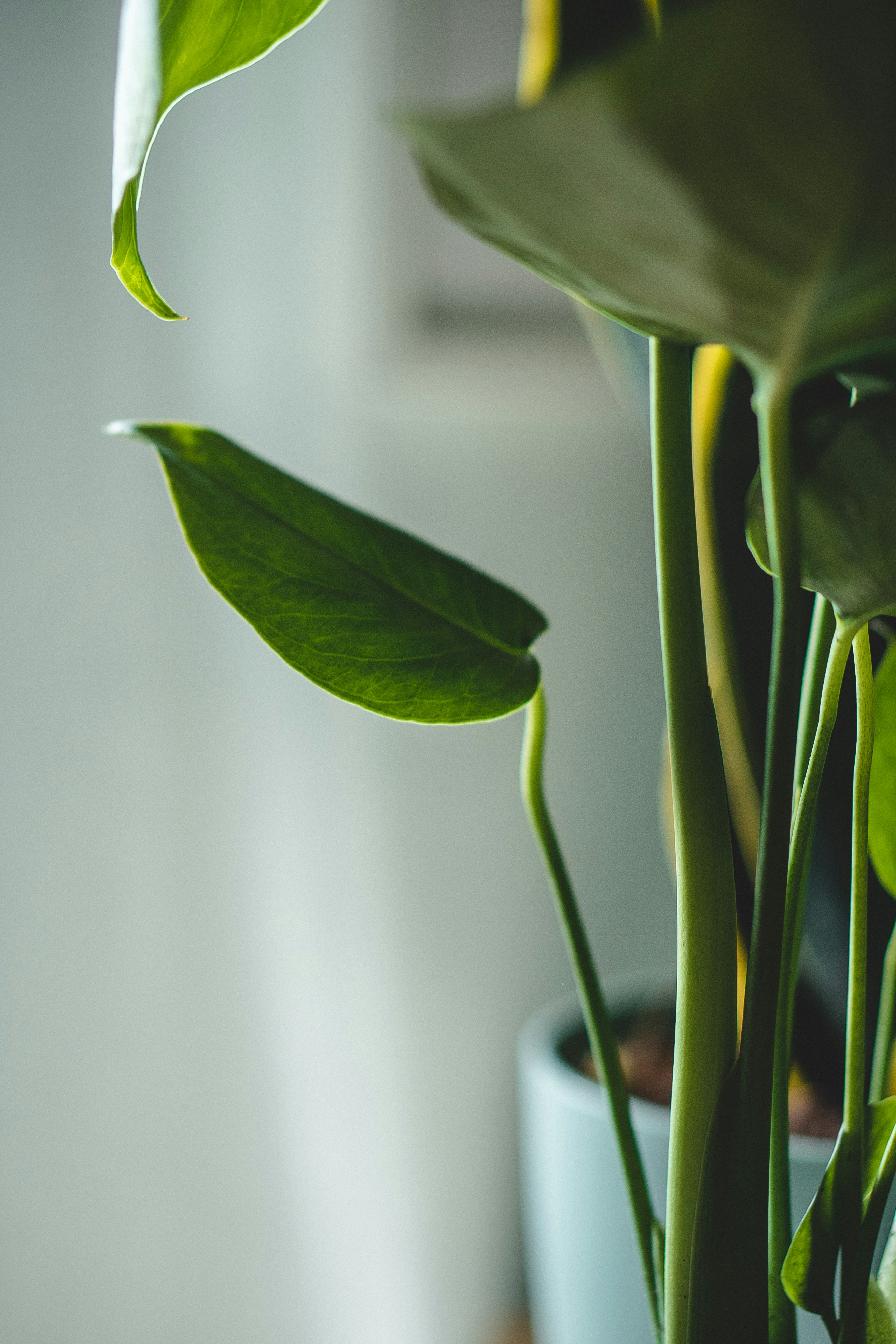 Photo by maahidphotos