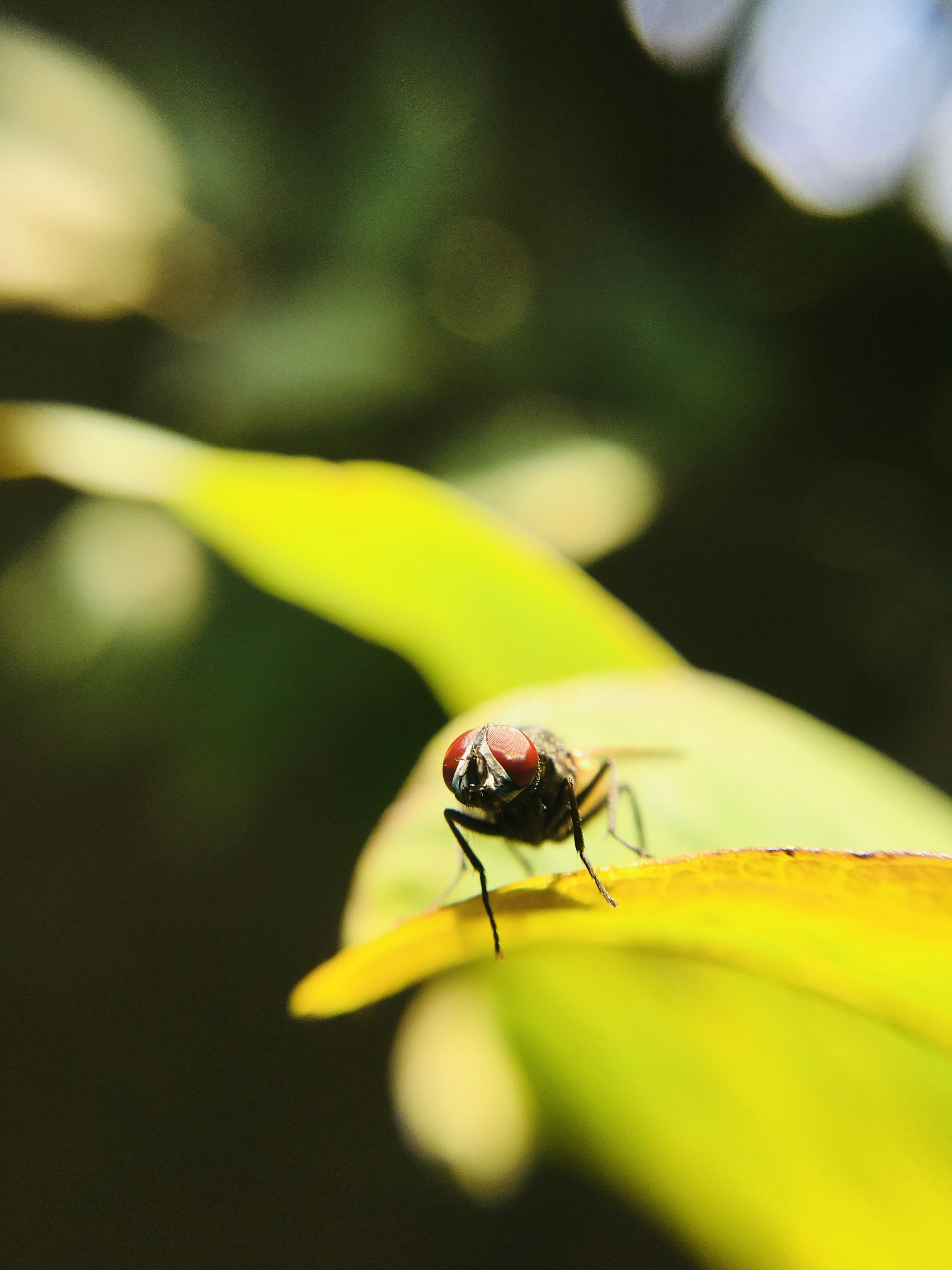 Photo by nomadicbharat