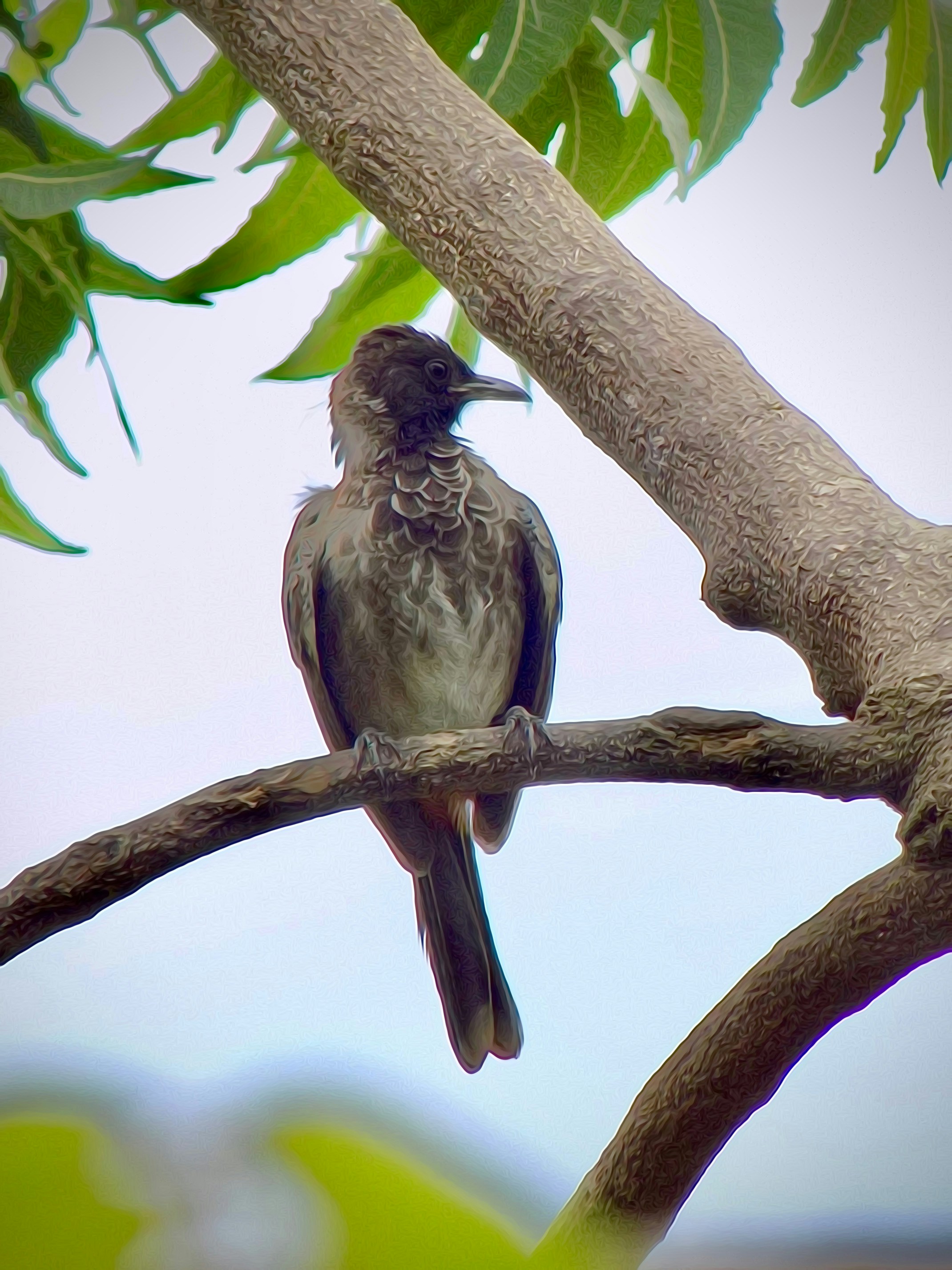 Photo by jasirshaik200071