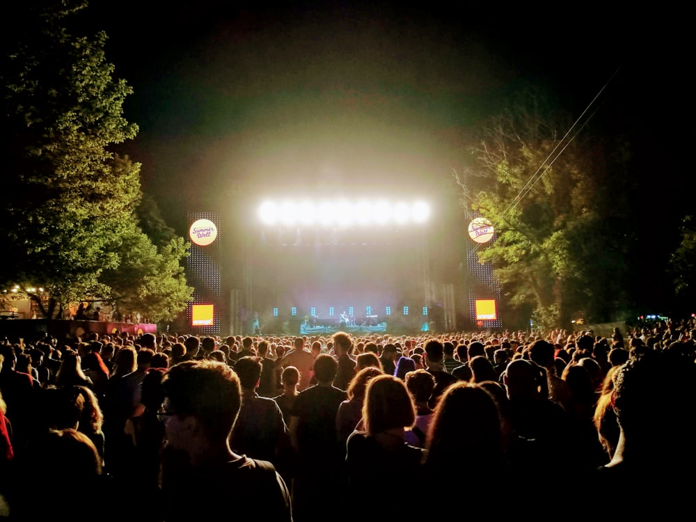 les gens qui regardent le concert pendant la nuit