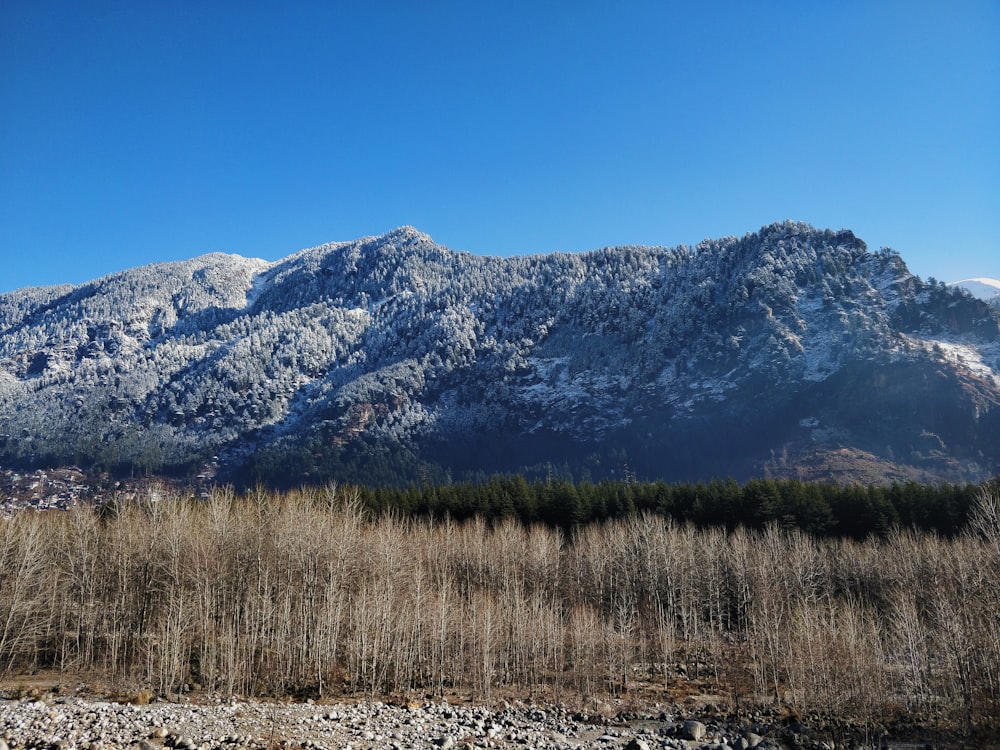 brown grass field near mountain under blue sky during daytime