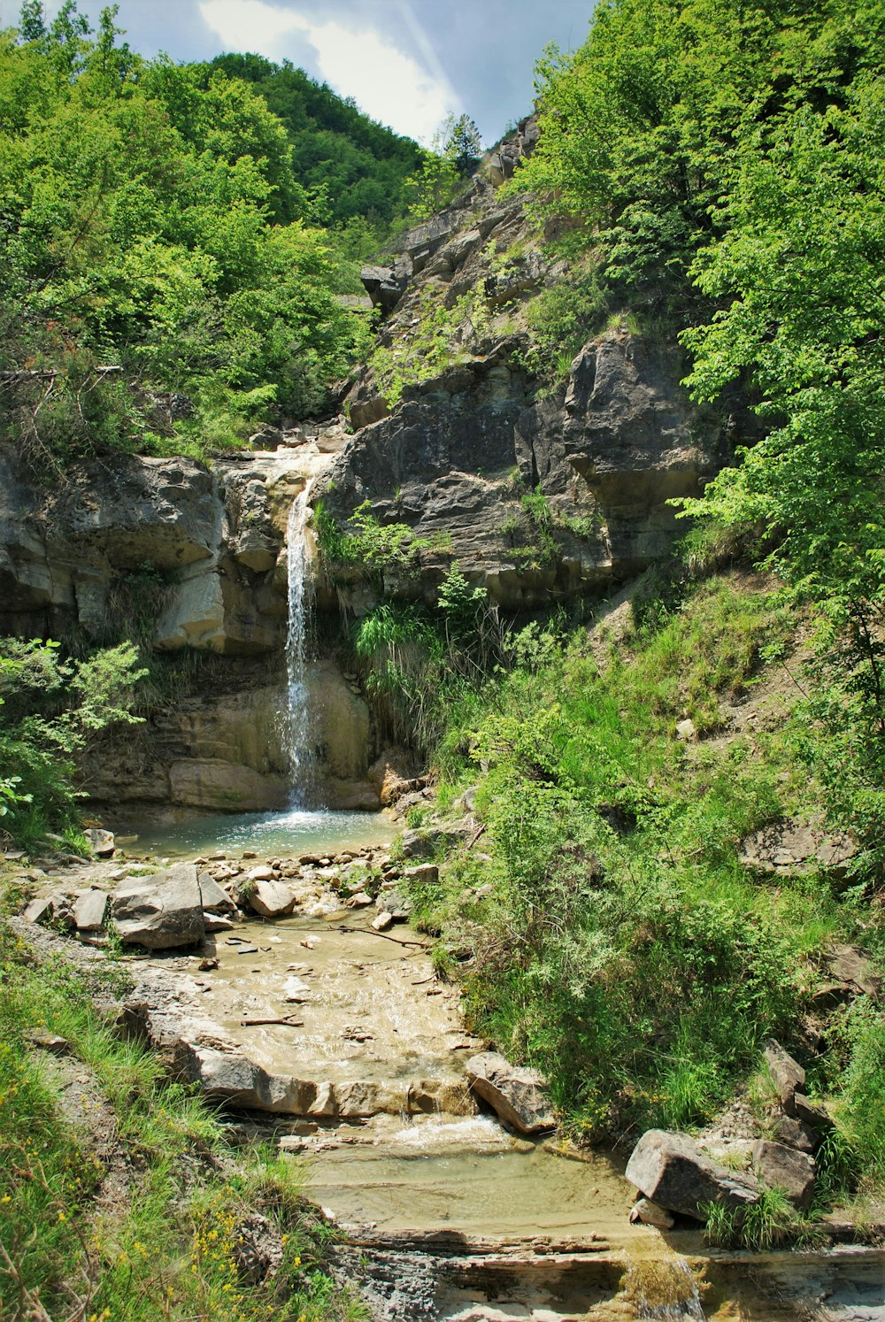 water falls in the middle of green trees