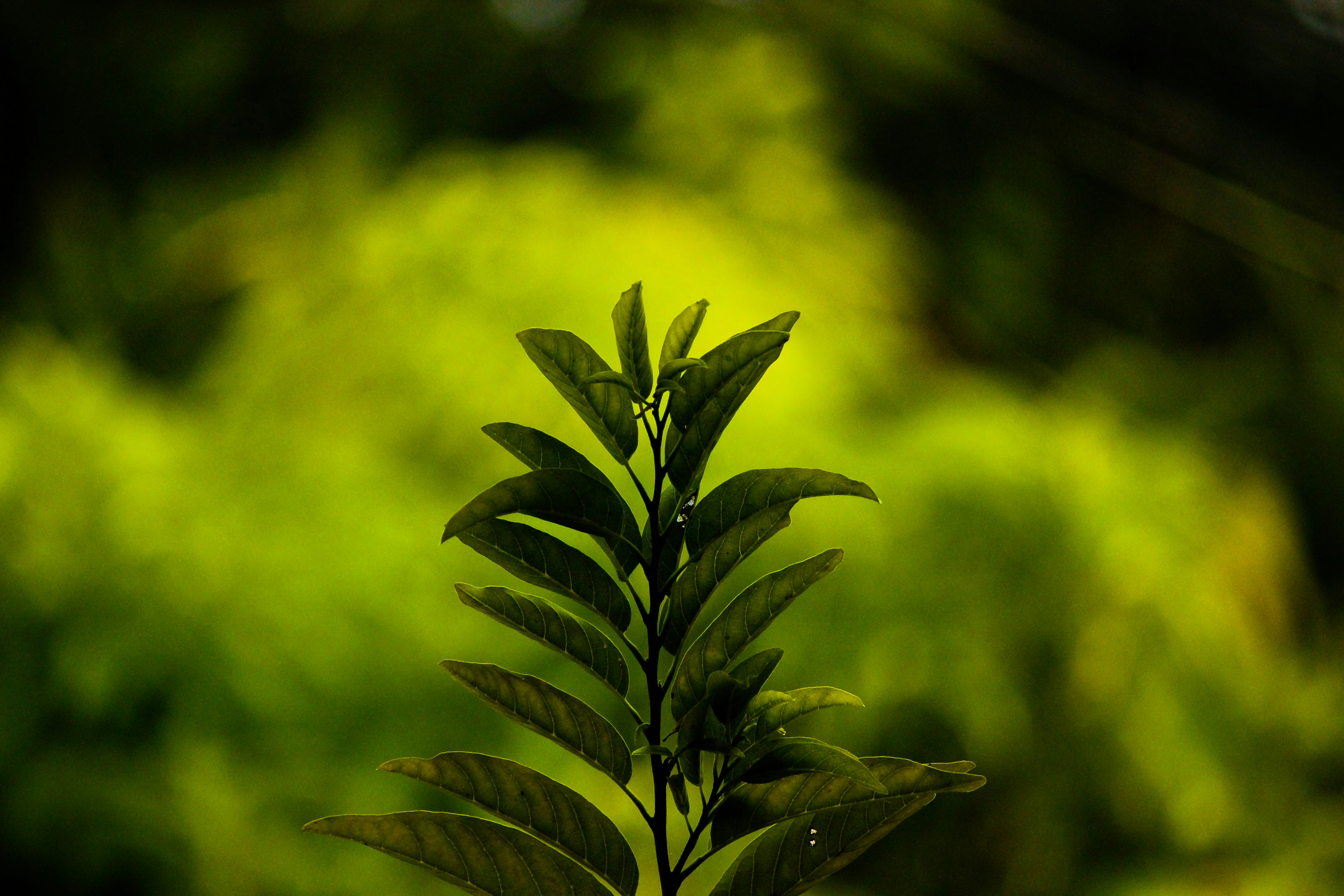 Photo by ivanflorendo04