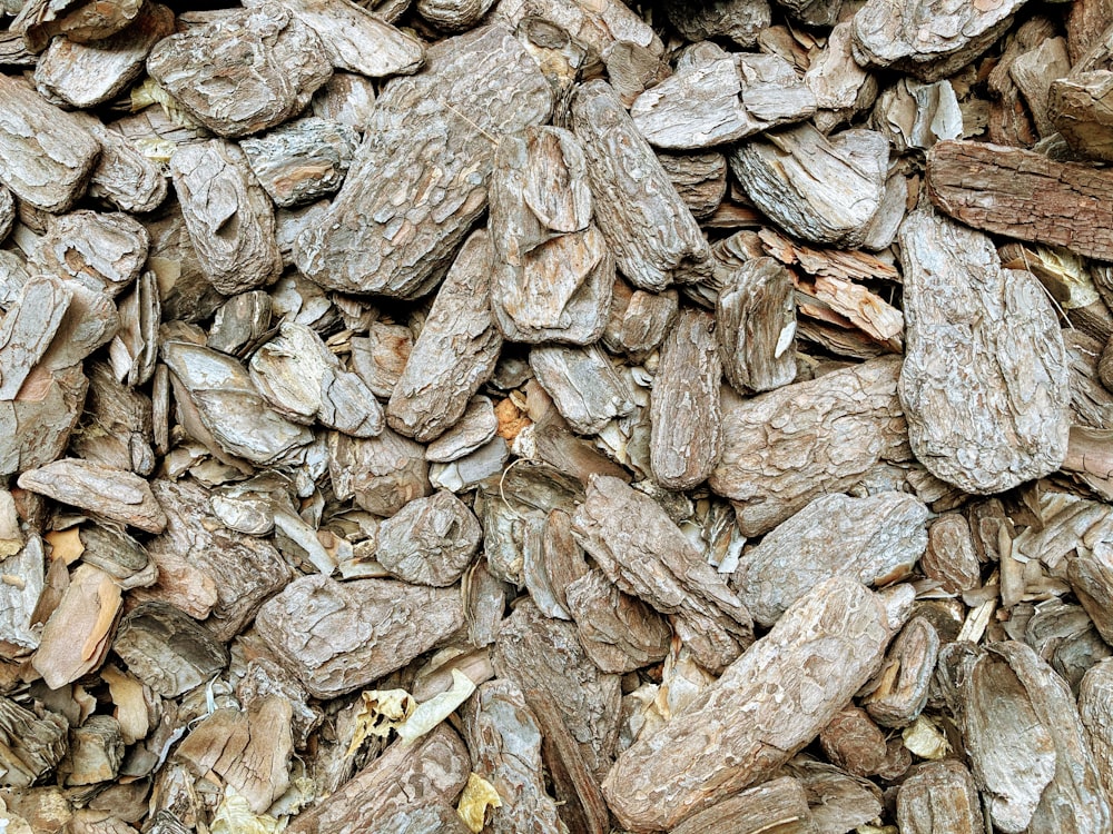 brown and gray stone fragments