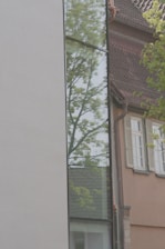 A tall, narrow window with a reflection of a leafy tree and a building’s gabled roof. Adjacent to the window is a beige wall, contrasting with a building featuring brown shingles and white-framed windows with closed shutters.