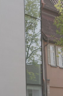 A tall, narrow window with a reflection of a leafy tree and a building’s gabled roof. Adjacent to the window is a beige wall, contrasting with a building featuring brown shingles and white-framed windows with closed shutters.
