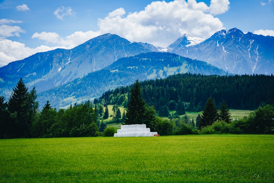 green grass field near green trees and mountain during daytime