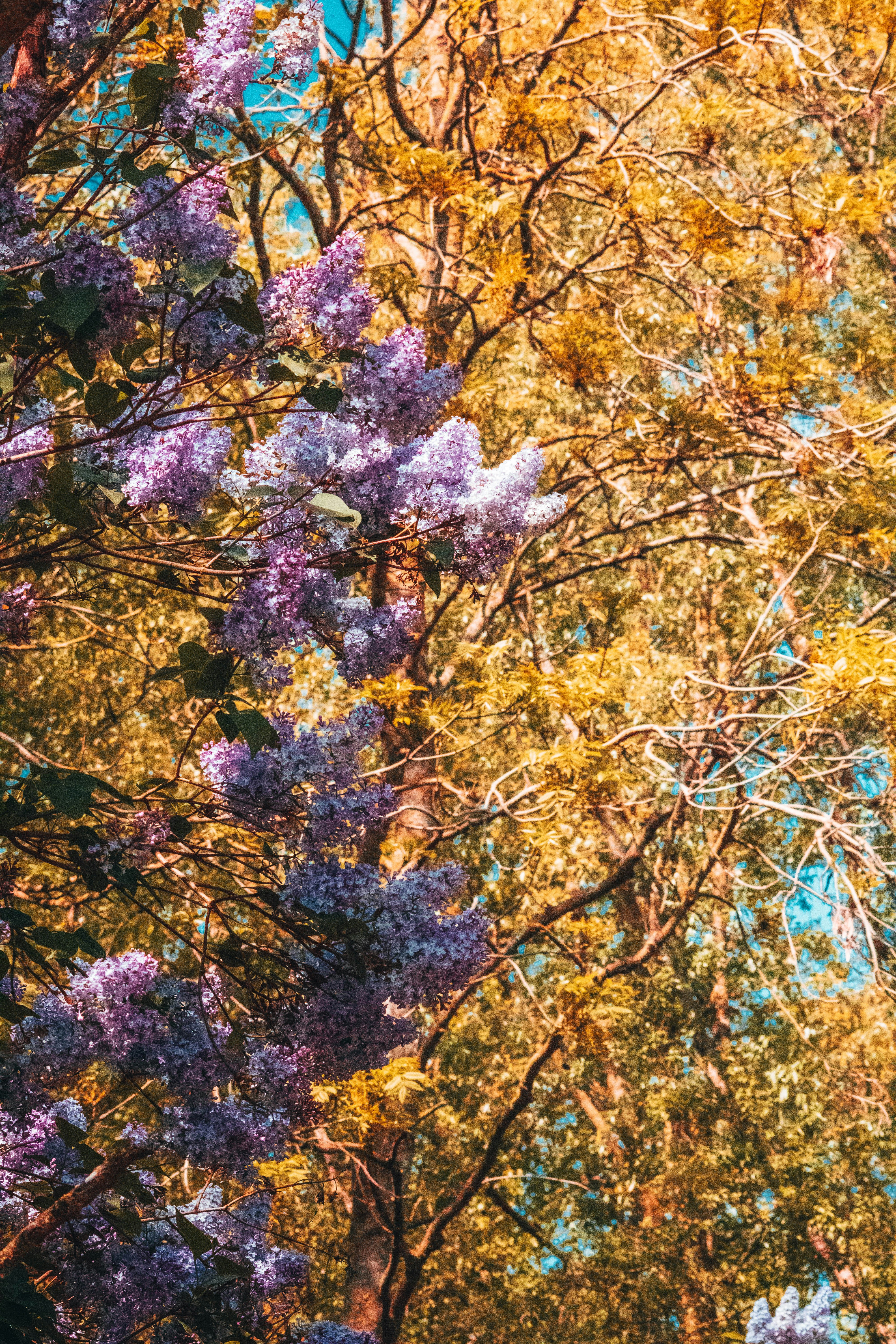 Photo by snhautomotivephotography