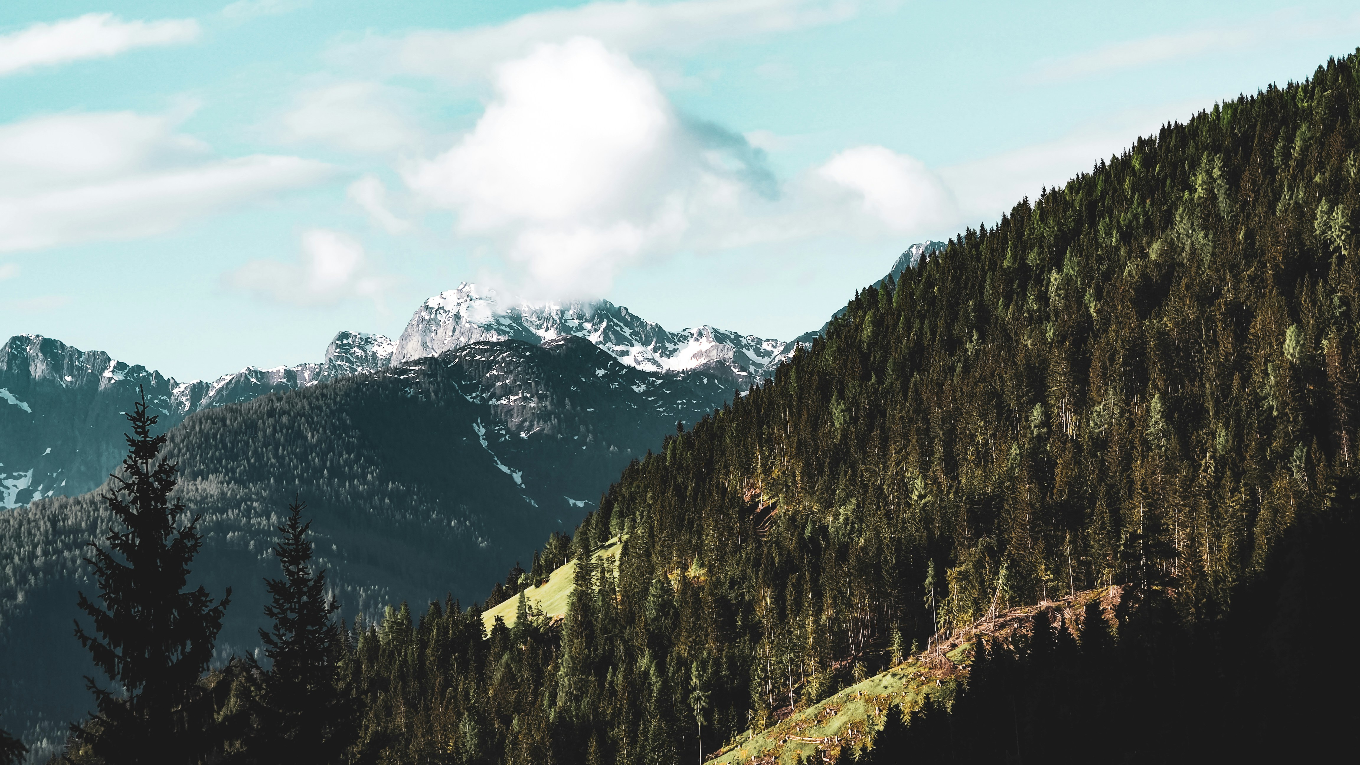 Photo by laurachouette