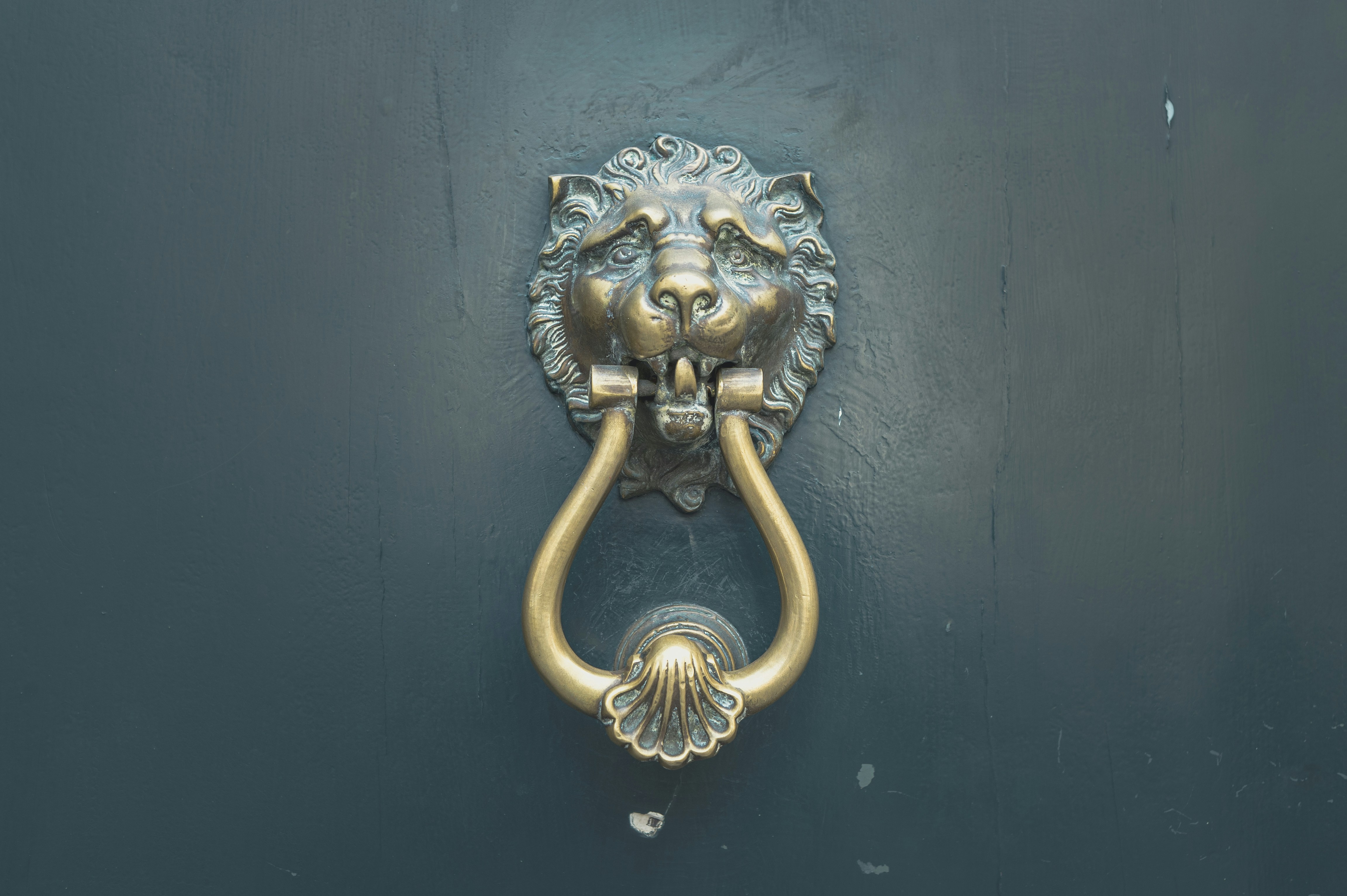Door knocker in the form of a lion's face.