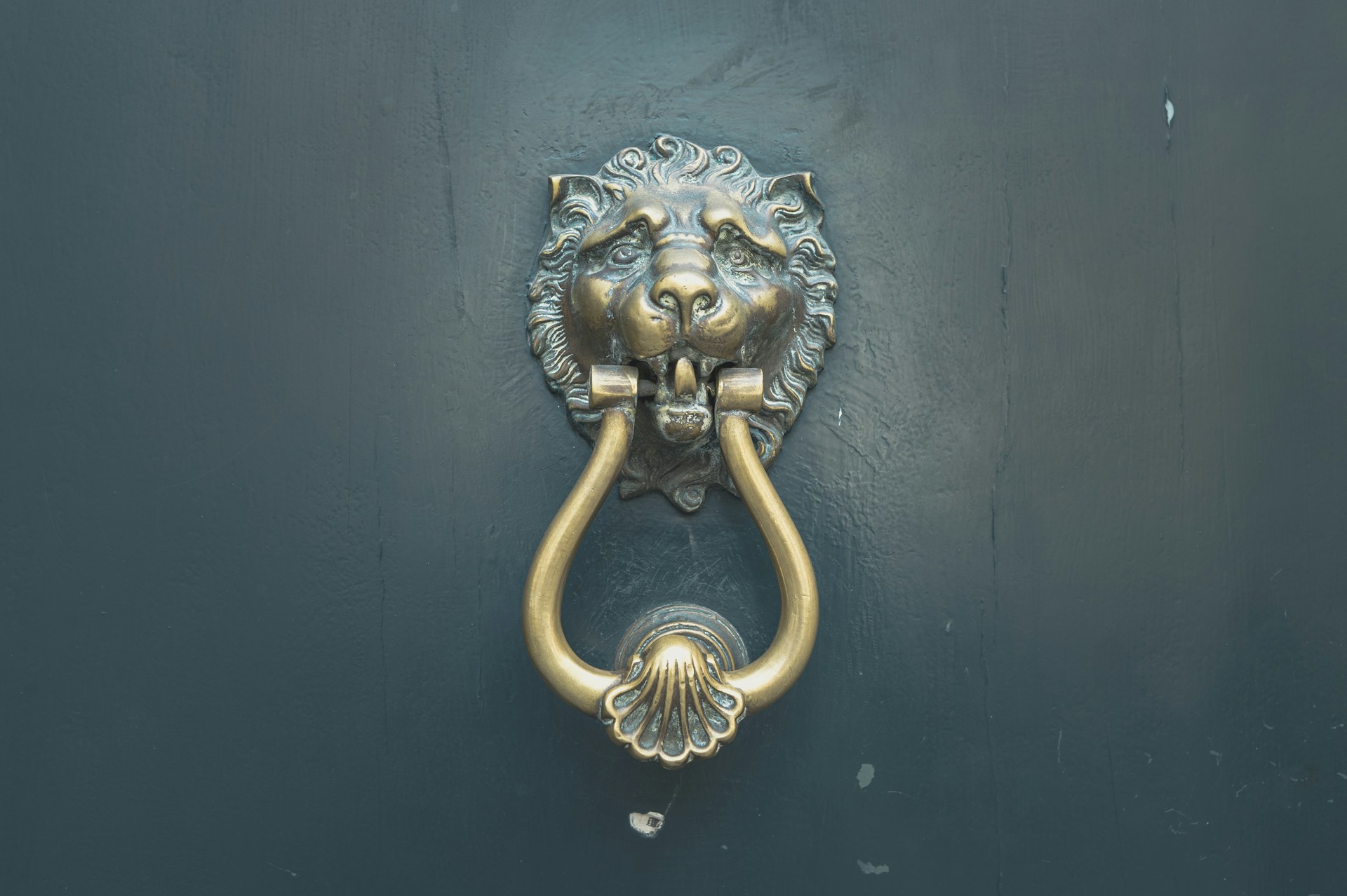 gold lion door handle on blue wooden door