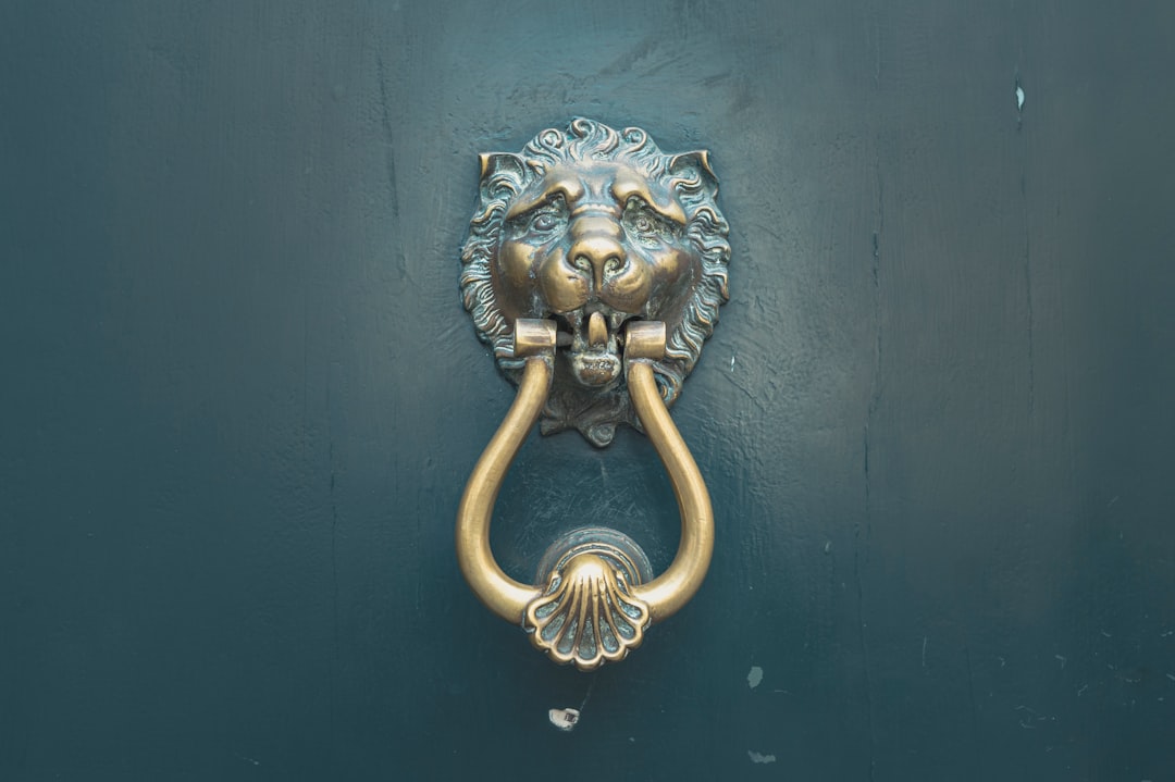 Door knocker in the form of a lion's face.