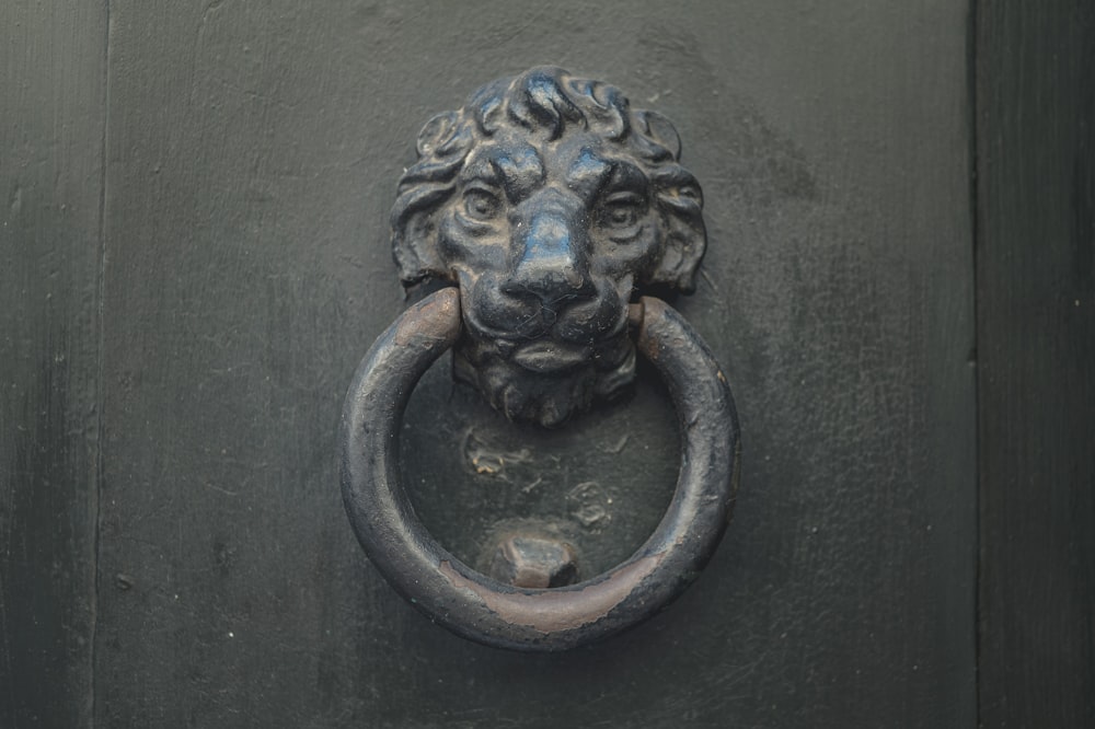 black lion door handle on black wooden door