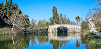 white concrete bridge over river