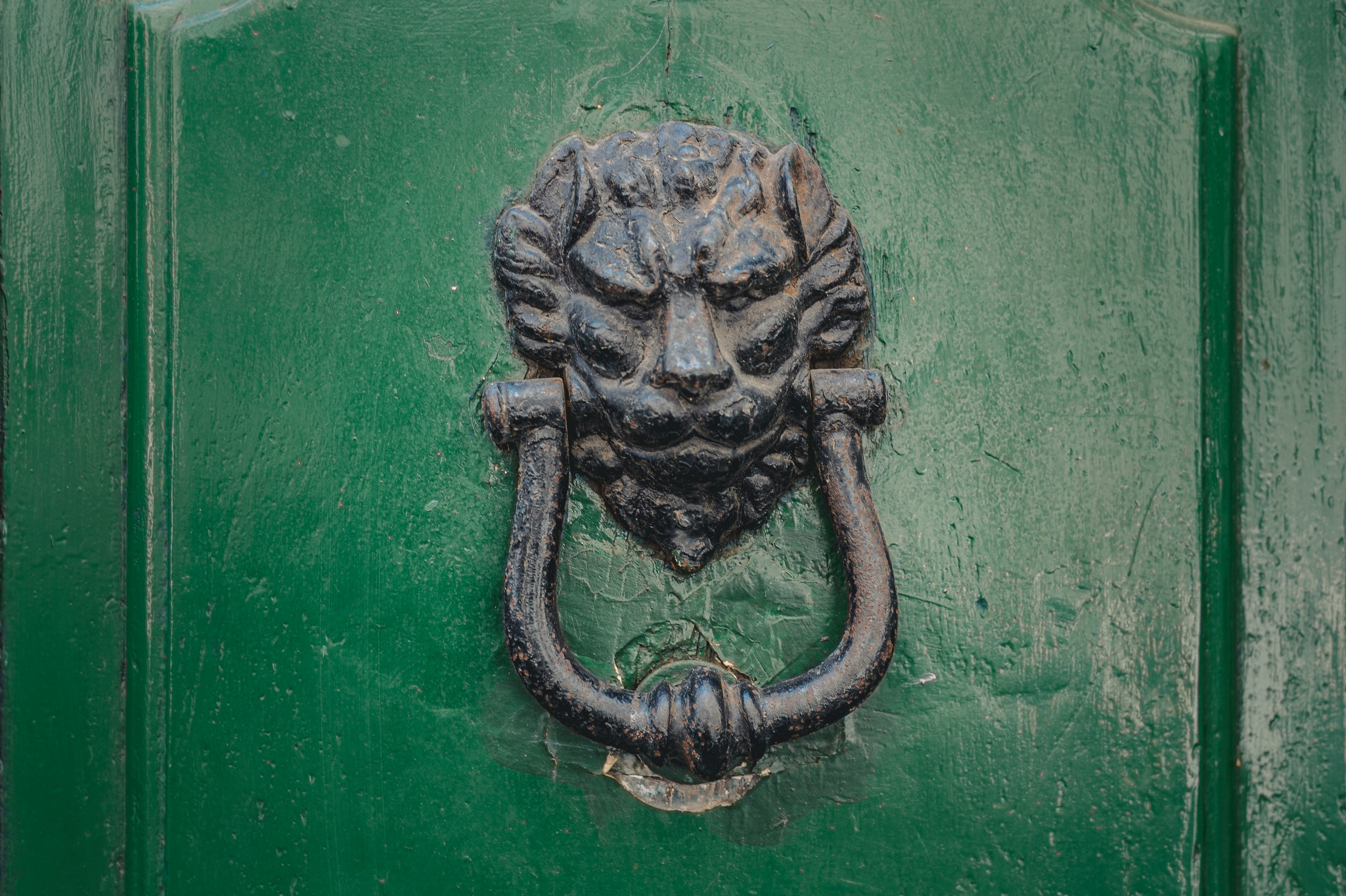 brown metal lion door handle