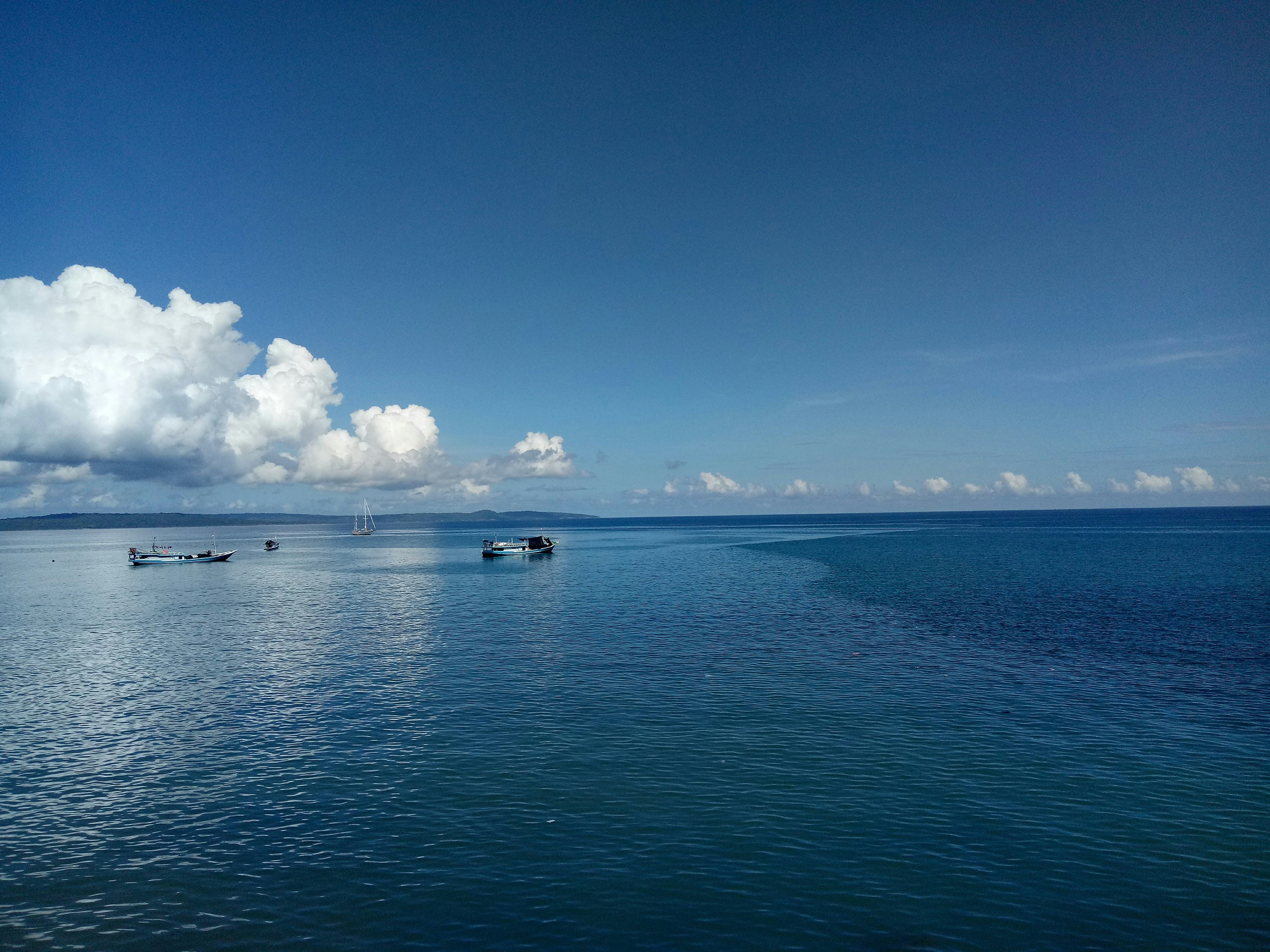 Photo by ester_zelot