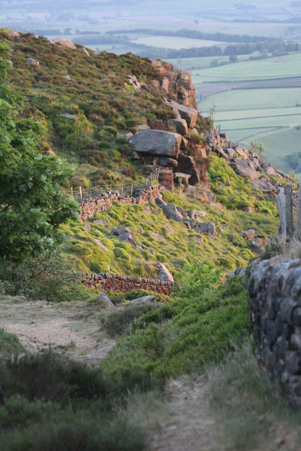 green grass and brown rock formation during daytime