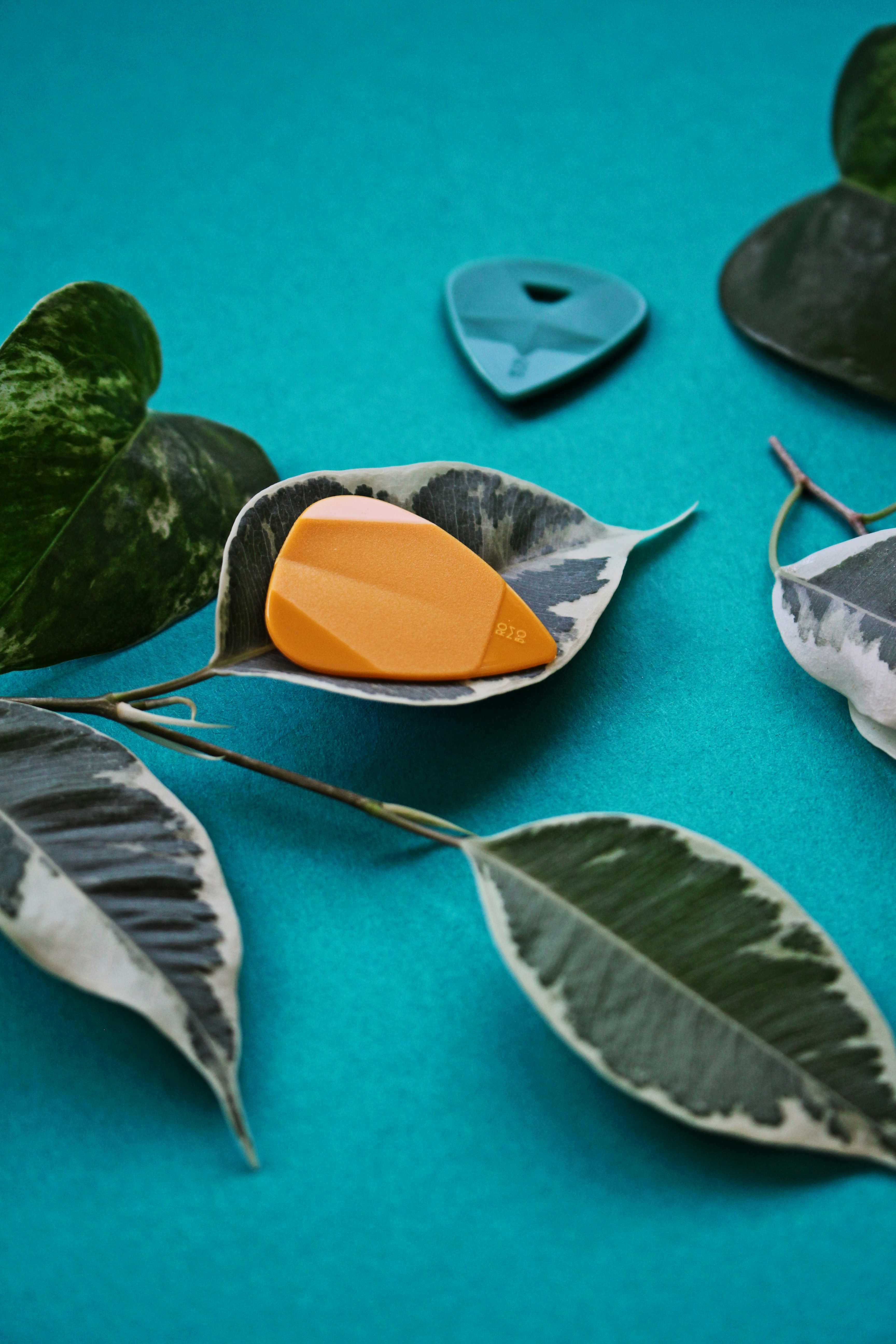 Photo by rombo_guitar_picks