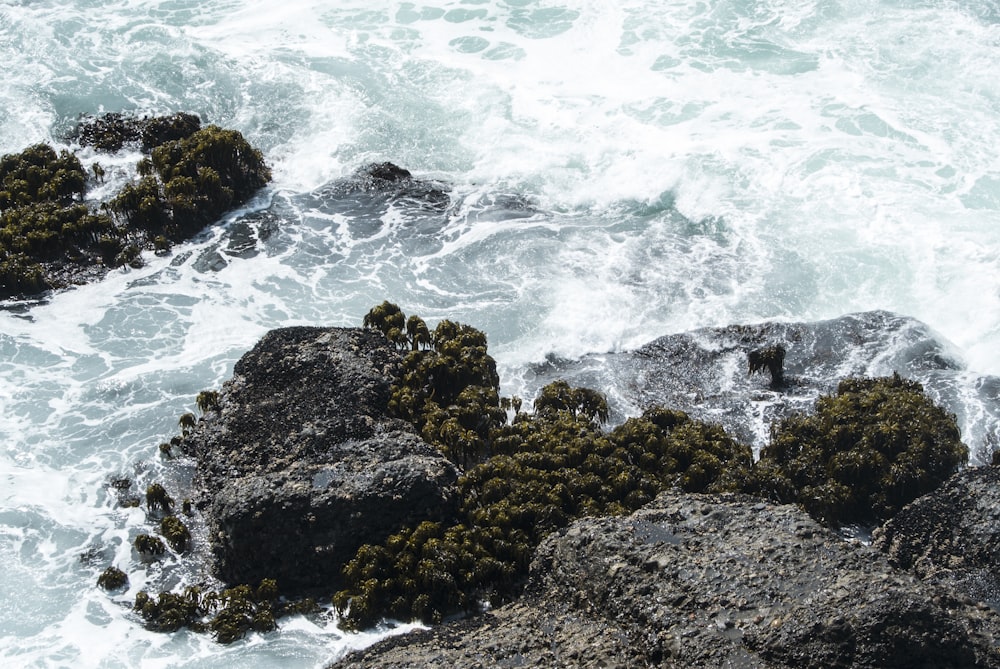 brown and green rock formation near body of water during daytime