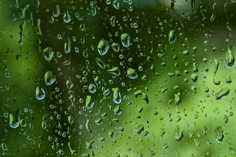 water droplets on glass window