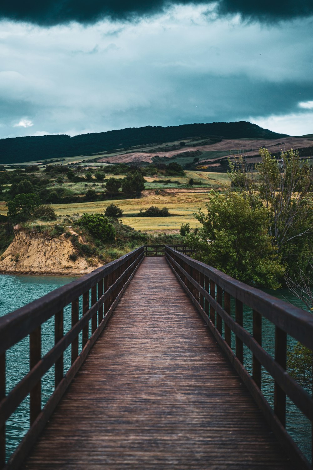 brown wooden bridge over river during daytime