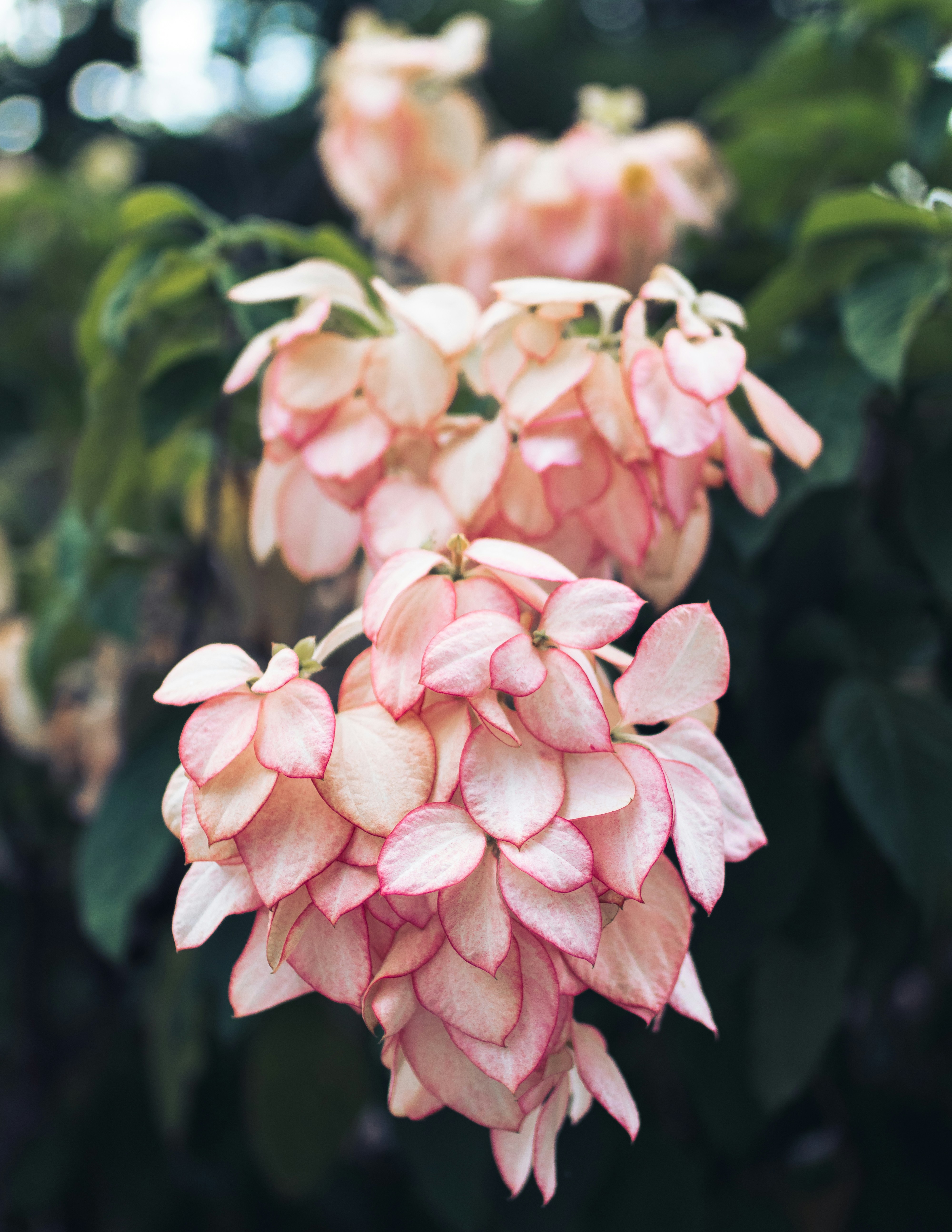 Photo by waiheng_tobi