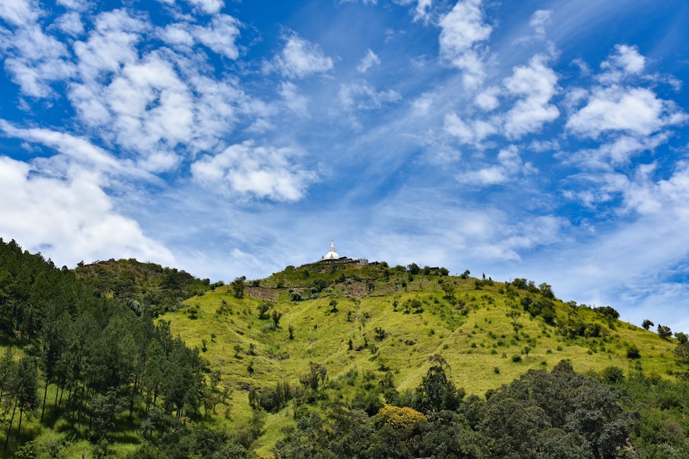 green trees on mountain under blue sky during daytime