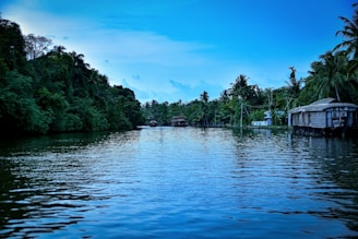 boat on water near trees during daytime