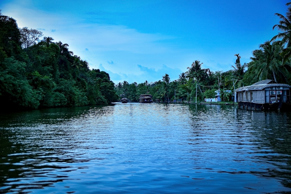 boat on water near trees during daytime