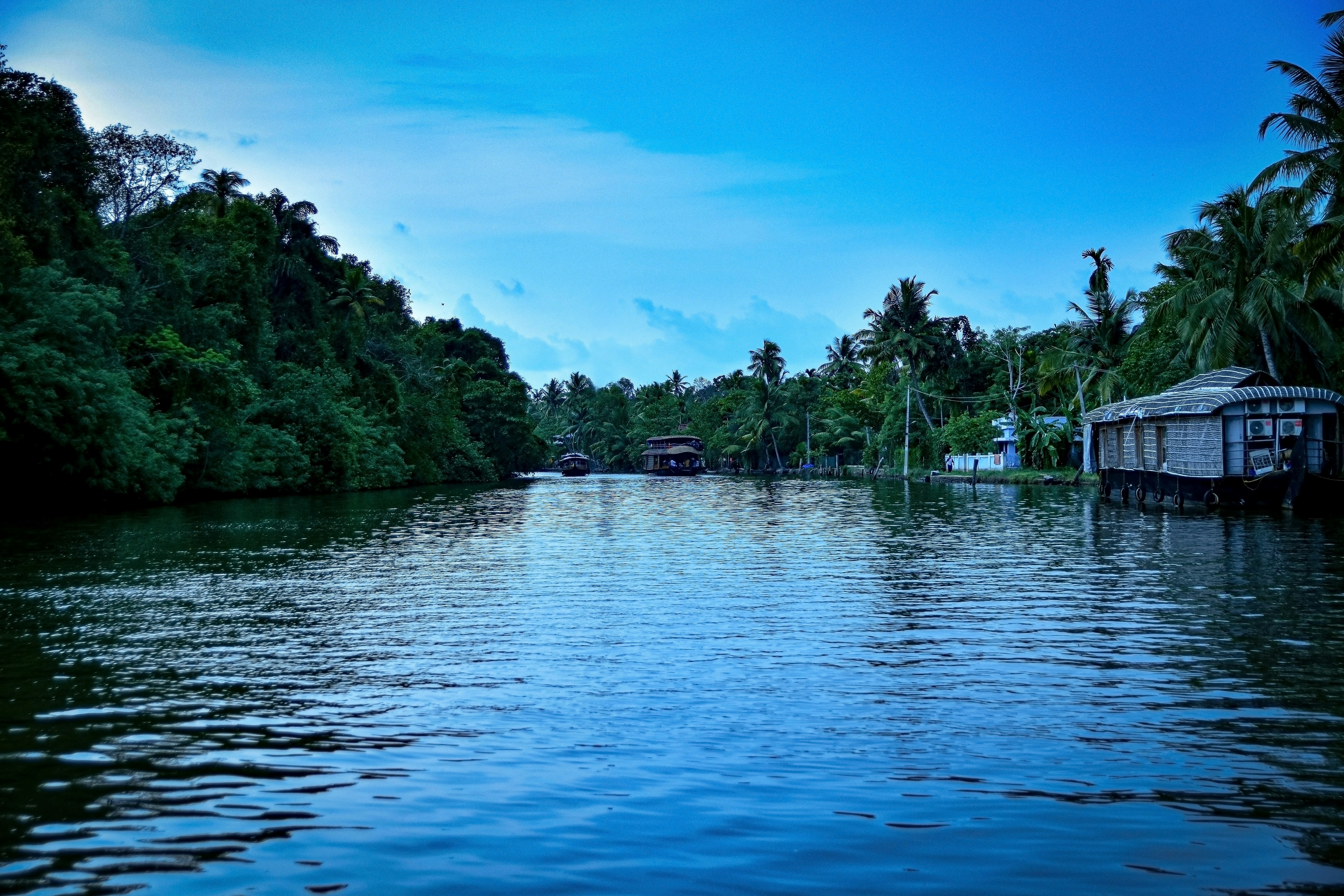 Houseboats in Kumarakom