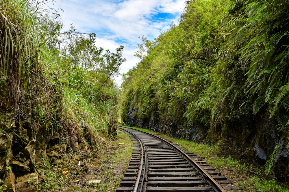 black metal train rail between green trees under blue sky during daytime