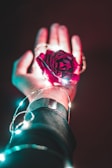 Hands holding a glowing red rose surrounded by mystical light