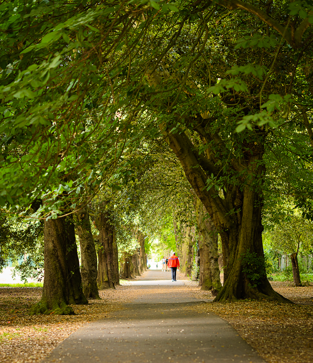 person in white shirt walking on gray concrete road between green trees during daytime