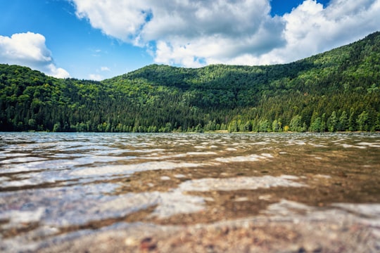 green trees and mountain under blue sky during daytime in Lake Sfânta Ana Romania