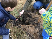 Children planting trees together in a sunny community garden