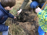 Two children are engaged in planting a small tree or shrub in a patch of earth. They are outdoors, surrounded by grass and dirt. One child is holding the plant, while the other holds a small shovel. An adult's hand is guiding the plant into the hole.