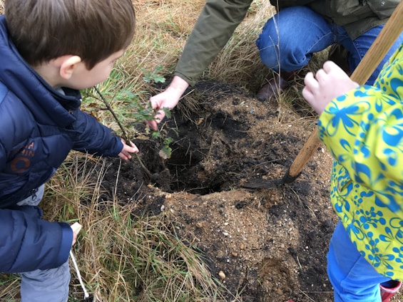 Children planting trees together in a sunny outdoor classroom surrounded by greenery.