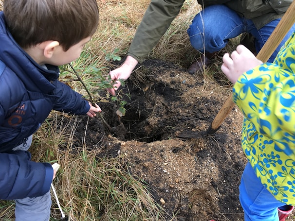 Volunteers and children planting trees in a community garden.