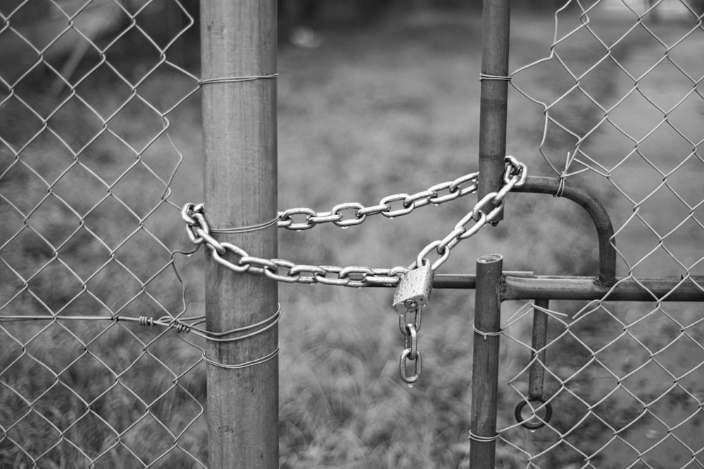 gray scale photo of chain link fence