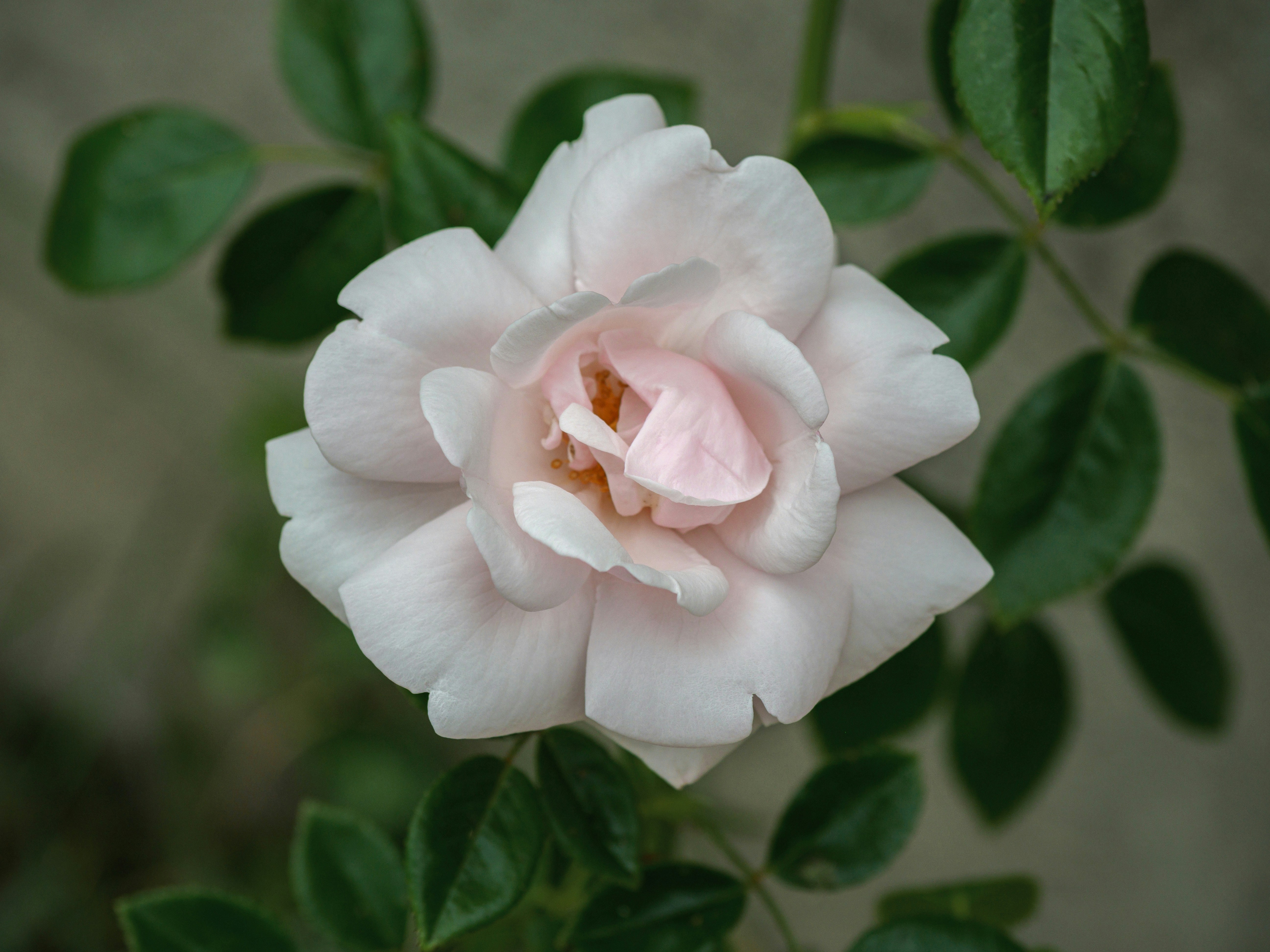 Photo by brett_jordan