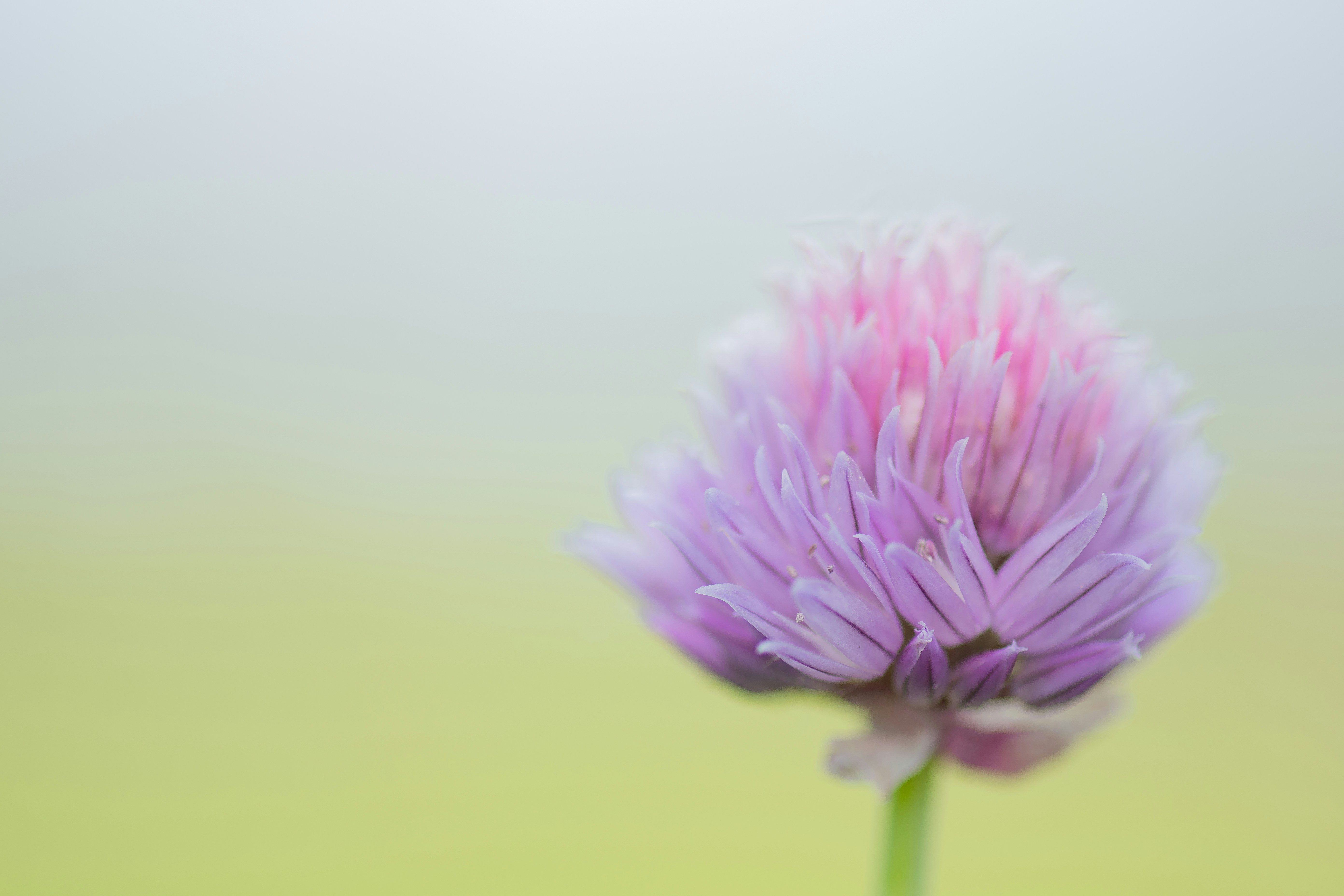 Photo by peterneumann