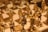 A close-up of intricately designed chess pieces with a focus on golden figures representing royalty and knights. The chessboard is elegant, with detailed craftsmanship on the pieces, highlighting a sense of luxury and historical significance.