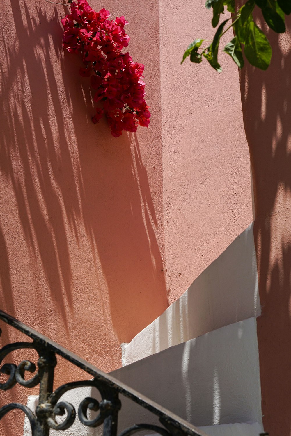 red flower on red concrete wall