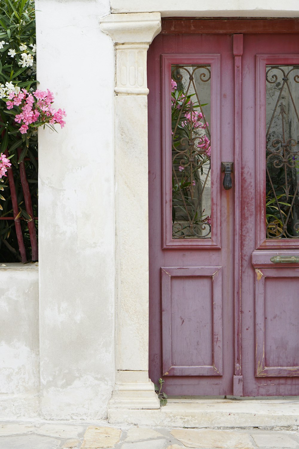 flores rosas en pared blanca